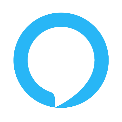 Voice Search